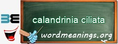WordMeaning blackboard for calandrinia ciliata